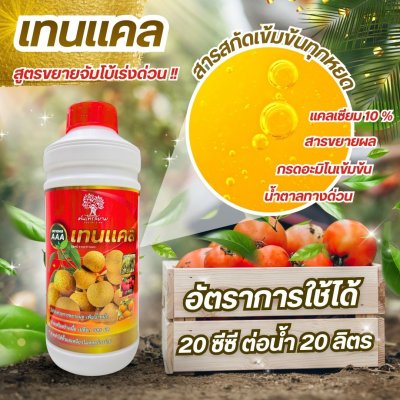 เทนเเคล