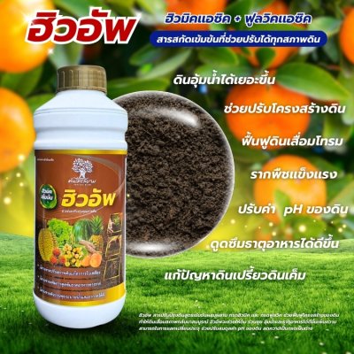 ฮิวอัพ