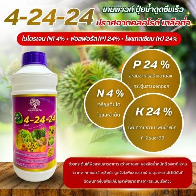 4-24-24 เทนพาวท์