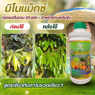 มิโนเเม็กซ์