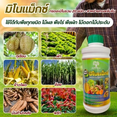 มิโนเเม็กซ์