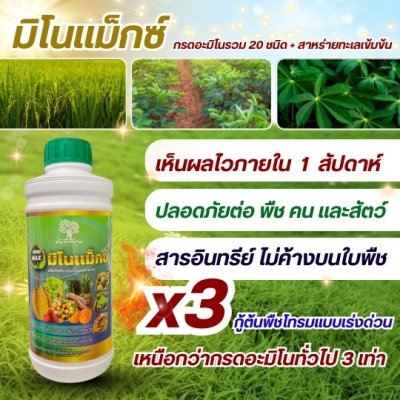 มิโนเเม็กซ์