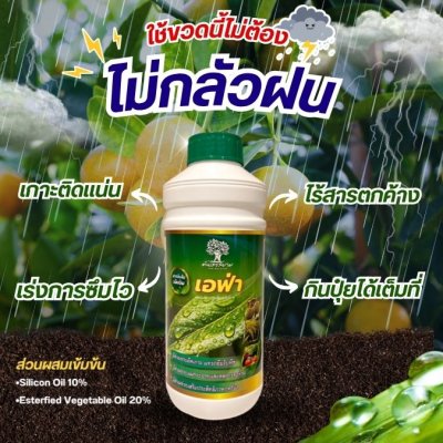 เอฟ่า