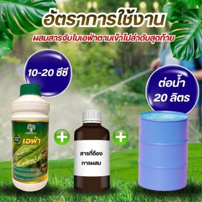 เอฟ่า