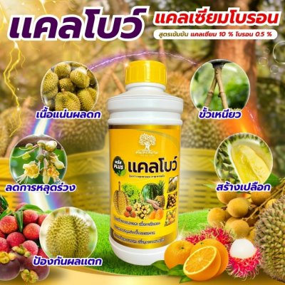 เเคลโบว์
