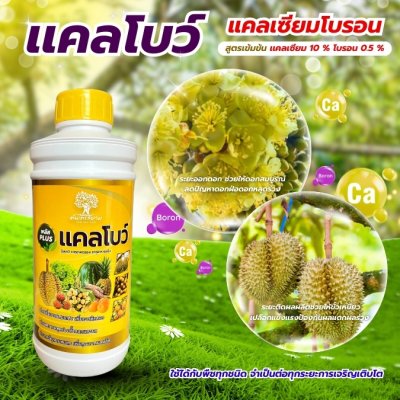 เเคลโบว์