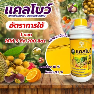 เเคลโบว์