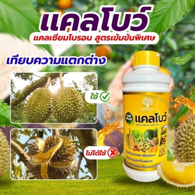 เเคลโบว์