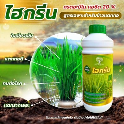 ไฮกรีน