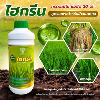 ไฮกรีน