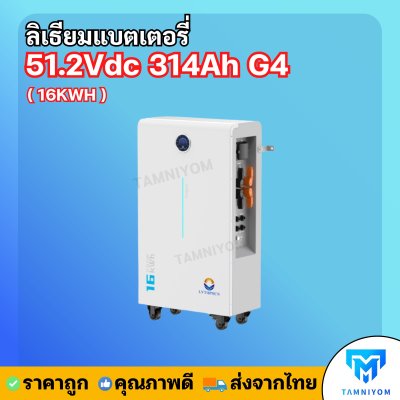 Lithium Battery 51.2Vdc 314Ah G4 (16Kwh) IP65 WIFI  warranty 10 years