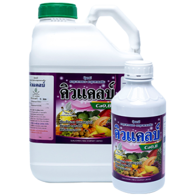 คิวแคลบ์