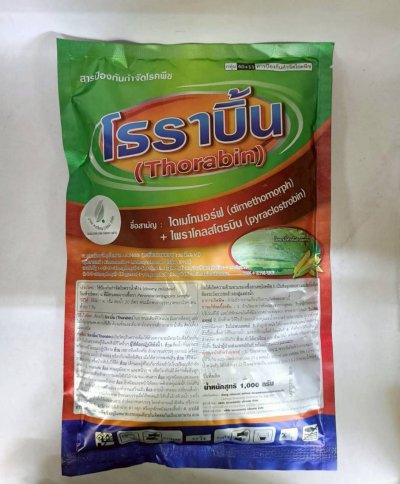 โธราบิ้น