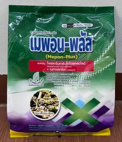 เมพอน-พลัส