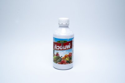 คิวจัมพ์