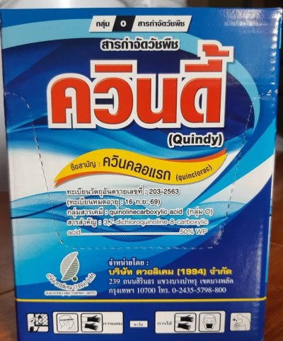 ควินดี้