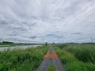 ที่ดินทำกำไร  รองรับEEC