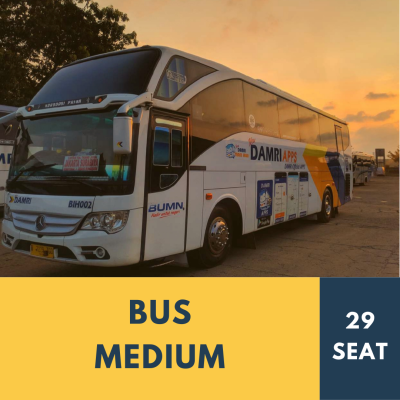 DAMRI - Bus Medium