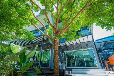 Baan Jamjan 9 Baan Jamjan 9