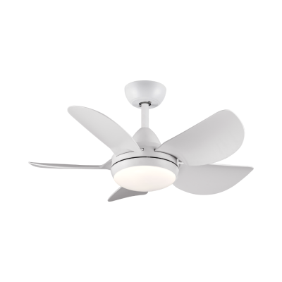 Lamp Ceiling Fan ABS Blade MODEL DC30-1014-5-LWH SIZE 30 Matte White Color