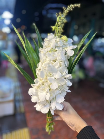 ดอกไม้กำ มัม บัว ดาวเรือง กล้วยไม้