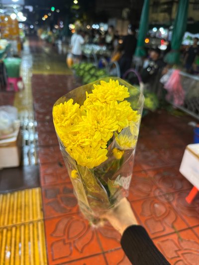 ดอกไม้กำ มัม บัว ดาวเรือง กล้วยไม้