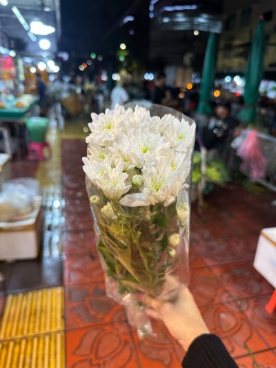 ดอกไม้กำ มัม บัว ดาวเรือง กล้วยไม้