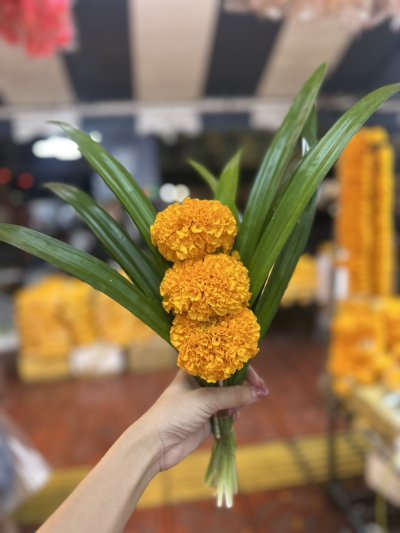 ดอกไม้กำ มัม บัว ดาวเรือง กล้วยไม้