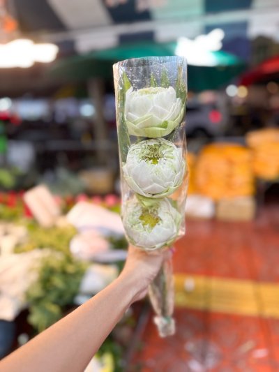 ดอกไม้กำ มัม บัว ดาวเรือง กล้วยไม้