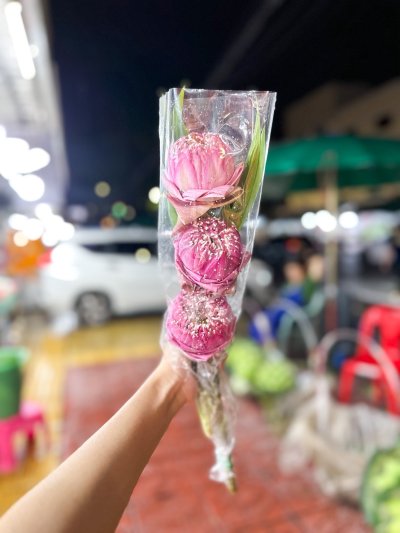 ดอกไม้กำ มัม บัว ดาวเรือง กล้วยไม้