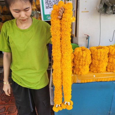 พวงมาลัยดาวเรืองยาว 2 เมตร