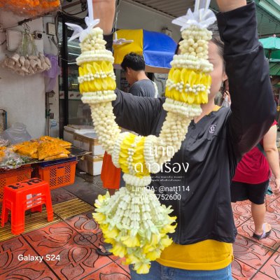 พวงมาลัยมะลิหใญ่ริบบิ้นสีขาวรัดข้อมาลัยแบน 3 ตำแหน่งอุบะพุ่มสี(ลูกค้าเลือกสีได้8สี)