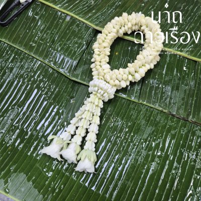 พวงมาลัยมะลิกลางอุบะแขกดอกข่าสี(ลูกค้าเลือกสีได้8สี)