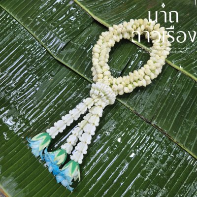 พวงมาลัยมะลิกลางอุบะแขกดอกข่าสี(ลูกค้าเลือกสีได้8สี)