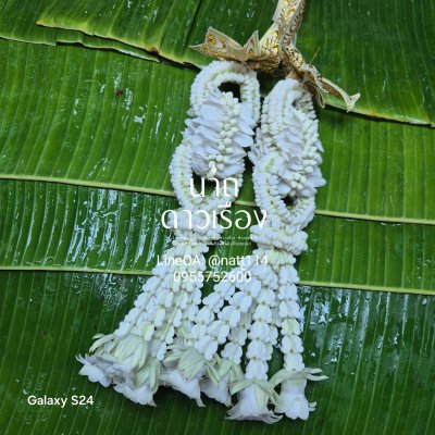 พวงมาลัยคล้องคอนาคโซ่ลักมาลัยแบนพร้อมกรวยบวชนาคสี(เลือกสีได้ 8 สี)