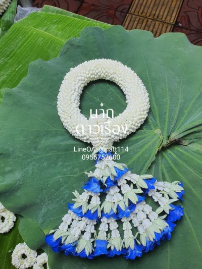 พวงมาลัยพุดเล็กรัดข้อเกี้ยวลักวังอุบะพุ่มยาวสี(ลูกค้าเลือกสีได้8สี)