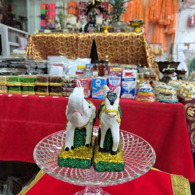 ช้างม้ากลาง 1 คู่