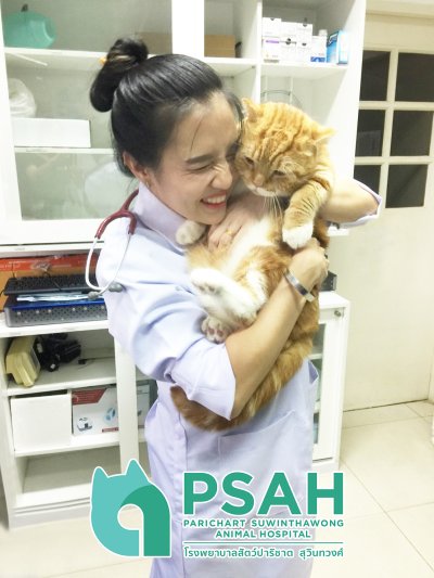 คุณหมอ