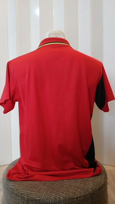 Use table tennis Shirt  Brand Butterfly