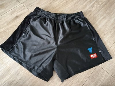 Use table tennis Shorts  Brand Victas