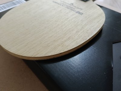 Used Butterfly Ovtcharov