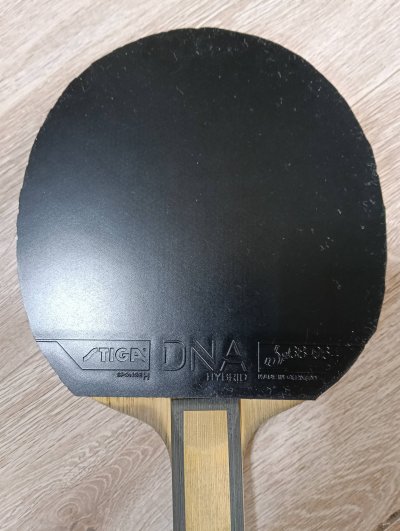 Used Stiga DNA Hybrids