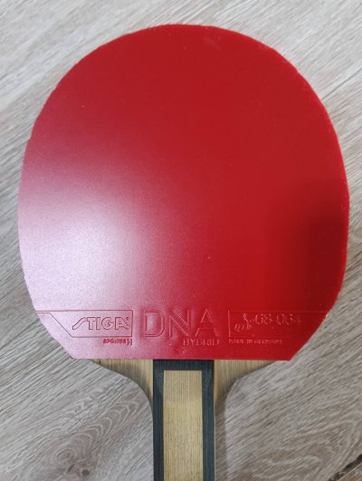 Used Stiga DNA Hybrids