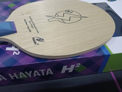 Used Nittaku Hina Hayata H2