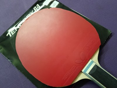 Used Tenergy 64