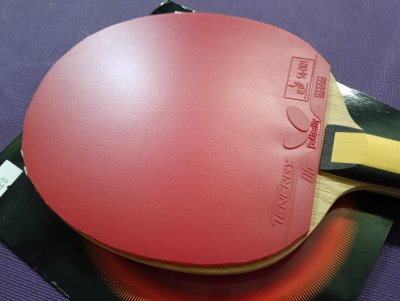 Used Tenergy 05