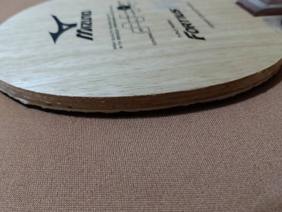 Used Mizuno Fortius FT