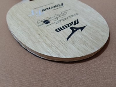 Used Mizuno Fortius FT