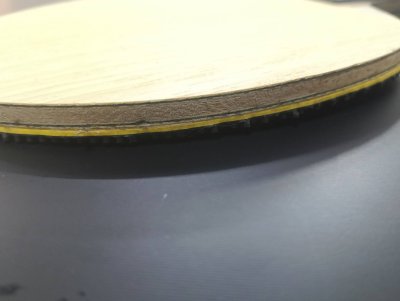 Used Viscaria