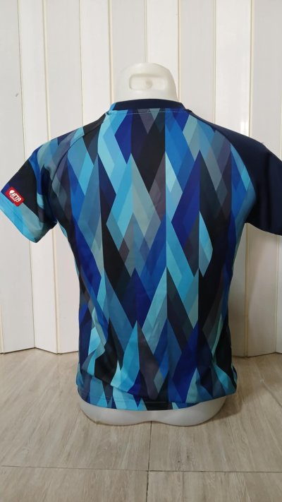 Used Shirt Victas brand L (C40'/L22")